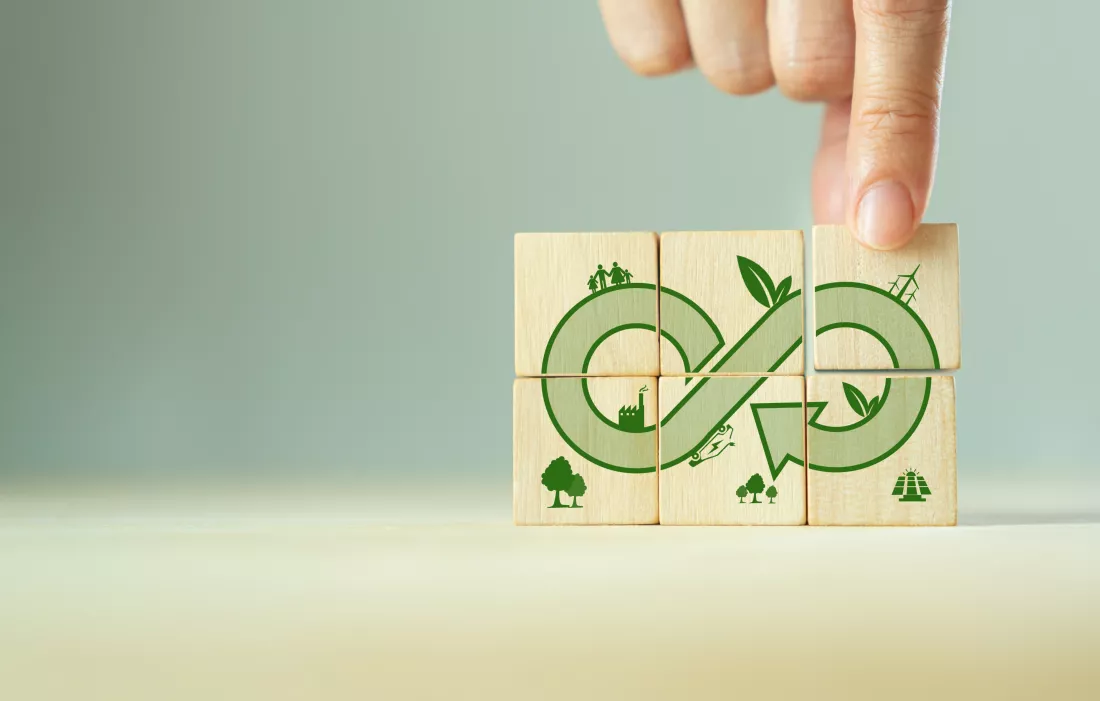 Zielona gospodarka i zrównoważona konsumpcjav